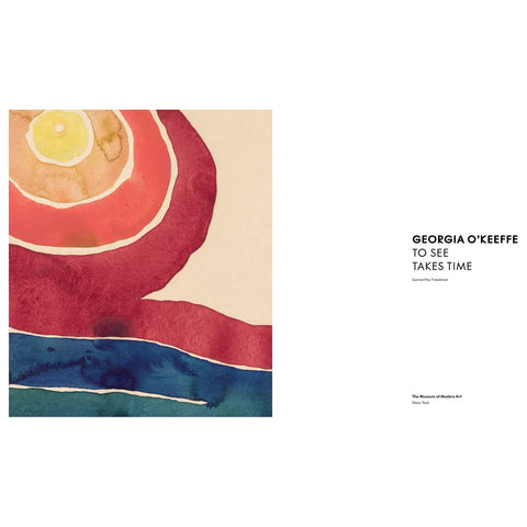 Georgia O’Keeffe: To See Takes Time