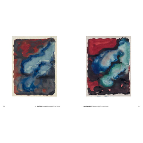 Georgia O’Keeffe: To See Takes Time