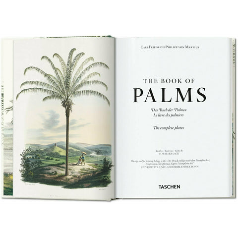 Martius. The Book of Palms. 40th Ed.