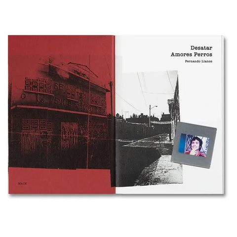 Desatar Amores Perros Spanish Edition