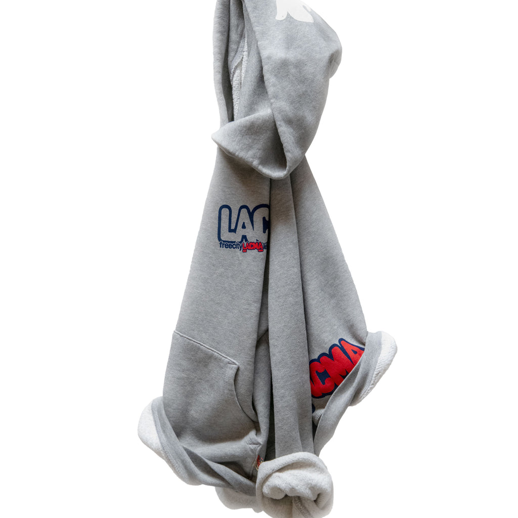 FREECITY × LACMA Artists Wanted Pullover Hoodie in Gray – LACMA Store