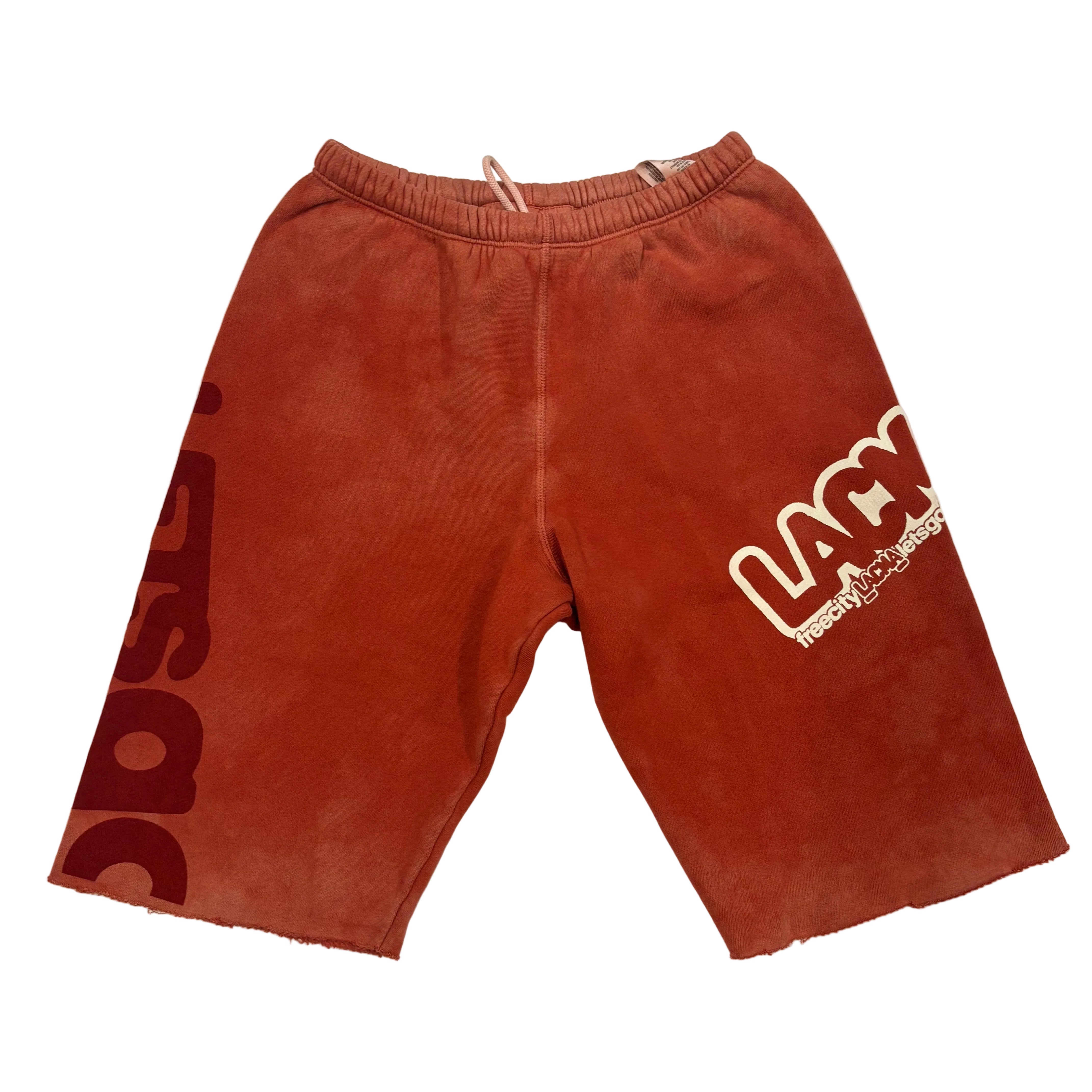 FREECITY × LACMA Lets Go Together Shorts in Red – LACMA Store