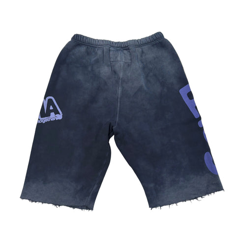 FREECITY × LACMA Lets Go Together Shorts in Blue