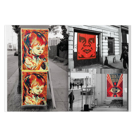 Shepard Fairey: Weathered