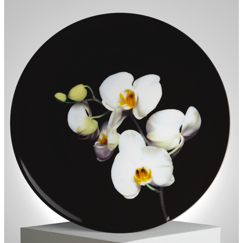 Robert Mapplethorpe 'Colour Orchid' Plate