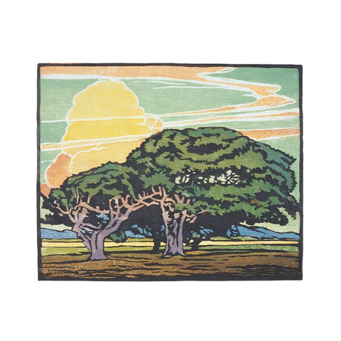 William S. Rice: Del Monte Oaks Small Boxed Cards