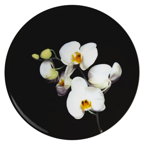 Robert Mapplethorpe 'Colour Orchid' Plate