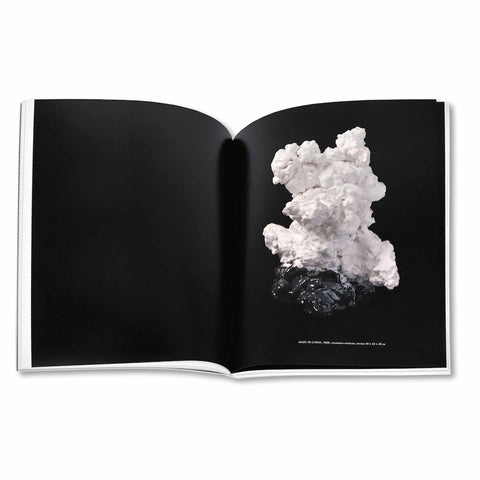 Cahiers d'Art: Rosemarie Trockel: 37th Year (Revue)