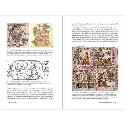 Códice Maya de México: Understanding the Oldest Surviving Book of the Americas