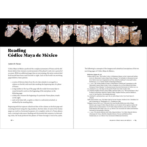 Códice Maya de México: Understanding the Oldest Surviving Book of the Americas