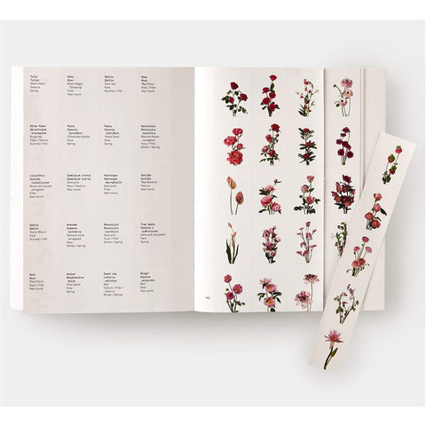 Flower Color Guide