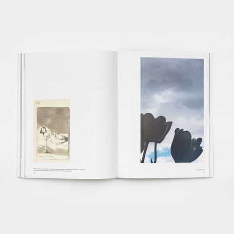 Cahiers d'Art: Every Goya