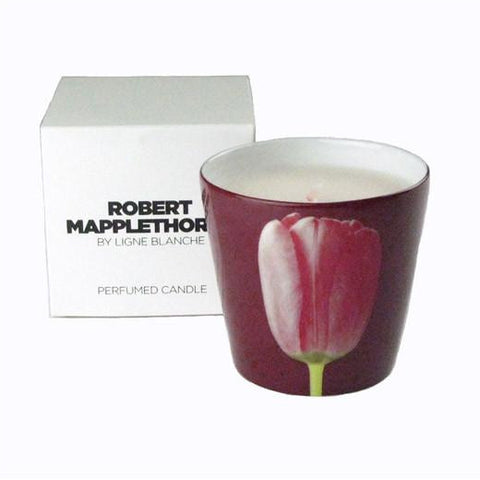 SALE: Robert Mapplethorpe Red Tulip Perfumed Candle