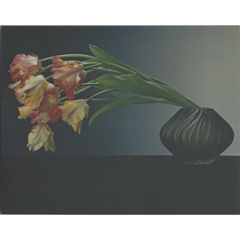 Robert Mapplethorpe Parrot Tulips Journal