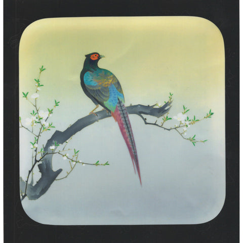 Cloisonné Birds Sticker Collection