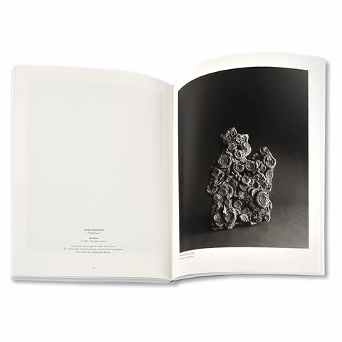 Cahiers d'Art: Hiroshi Sugimoto: 38th Year (Revue)
