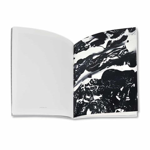 Cahiers d'Art: Rosemarie Trockel: 37th Year (Revue)