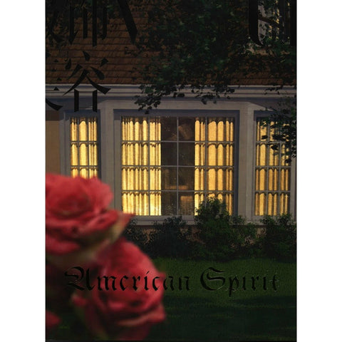 Roe Ethridge American Spirit