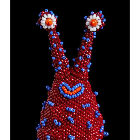 Hot Shot Microfreak by the Haas Brothers