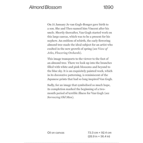 Vincent van Gogh: 50 Masterpieces Explored