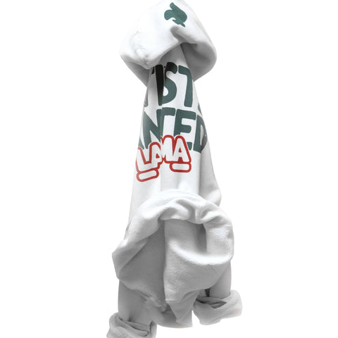 FREECITY × LACMA Artists Wanted Pullover Hoodie in White