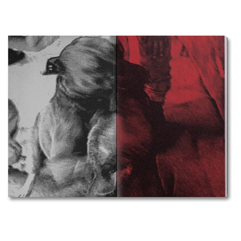 Unleashing Amores Perros English Edition