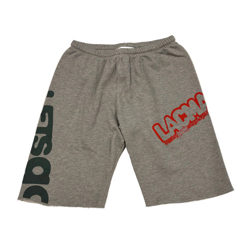 FREECITY × LACMA Lets Go Together Shorts in Gray