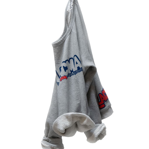FREECITY × LACMA Lets Go Together Raglan Sweater in Gray/Blue