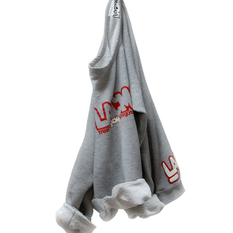 FREECITY × LACMA Lets Go Together Raglan Sweater in Gray/Red