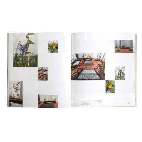 Mariana Castillo Deball: Ixiptla Volume V Amarantus