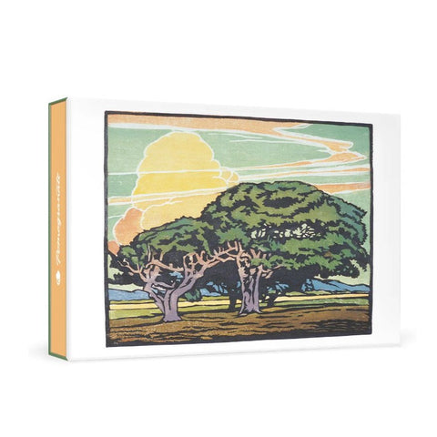 William S. Rice: Del Monte Oaks Small Boxed Cards