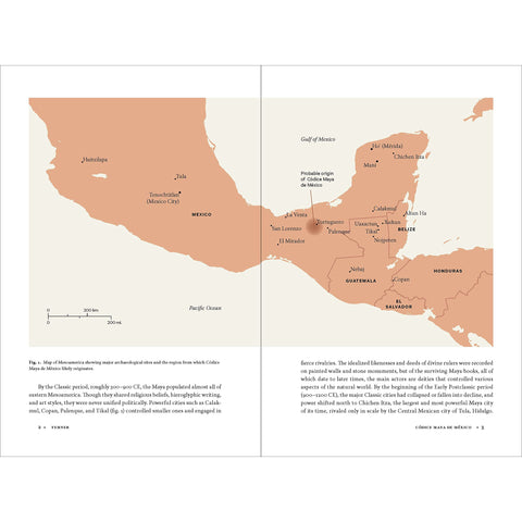 Códice Maya de México: Understanding the Oldest Surviving Book of the Americas