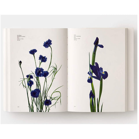 Flower Color Guide