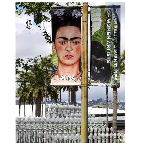 frida-kahlo-street-banner