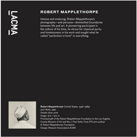 Robert Mapplethorpe Jack Walls Journal