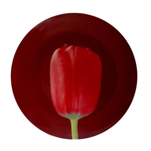 mapplethorpe-red-tulip-plate