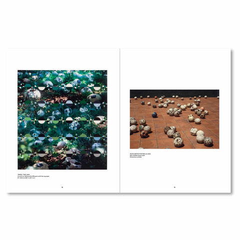 Cahiers d'Art: Gabriel Orozco