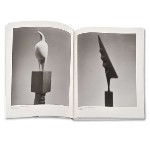 Cahiers d'Art: Hiroshi Sugimoto: 38th Year (Revue)