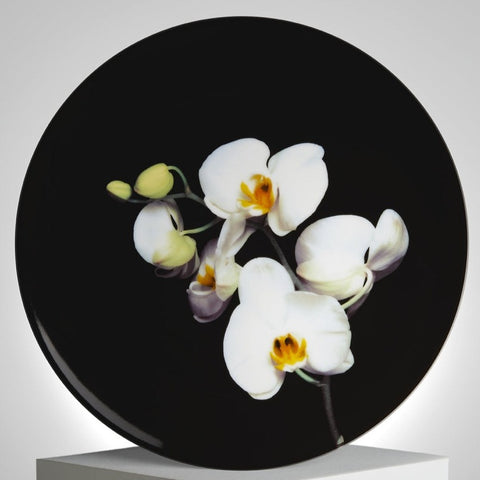 Robert Mapplethorpe 'Colour Orchid' Plate